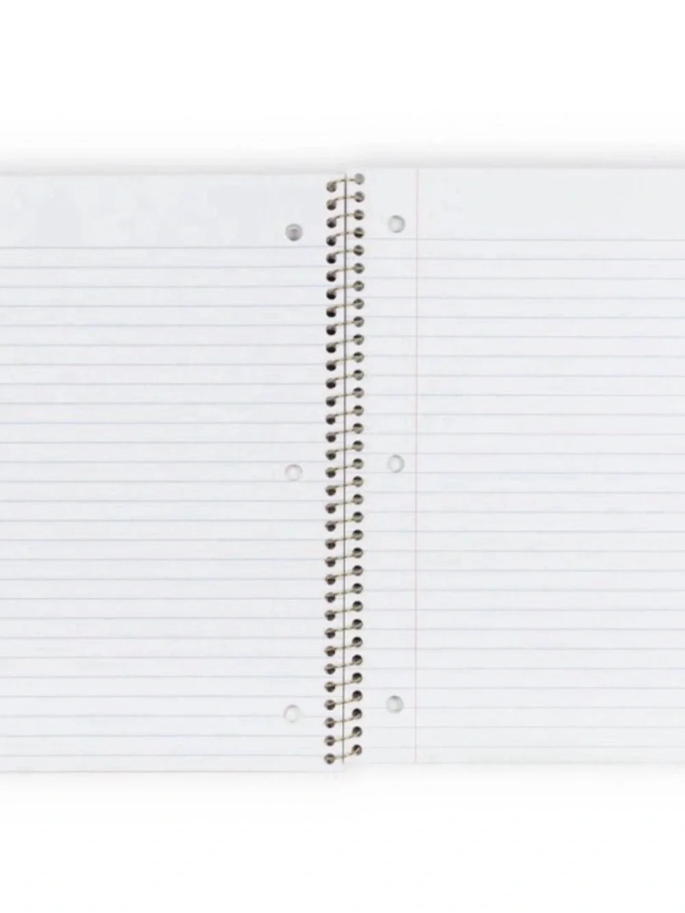 NWT LoveShackFancy X Target Yoobi 2 x Wide Ruler Spiral Notebooks 8”x10.5”
